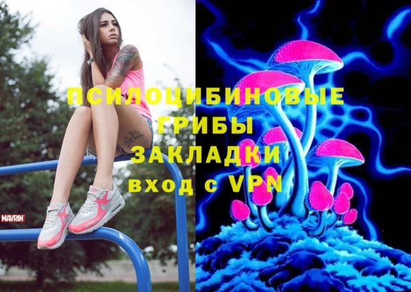 СК Каменск-Шахтинский