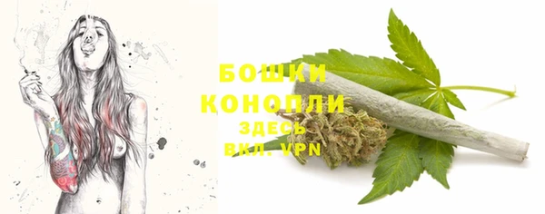 СК Каменск-Шахтинский