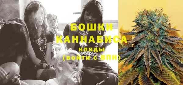 СК Каменск-Шахтинский