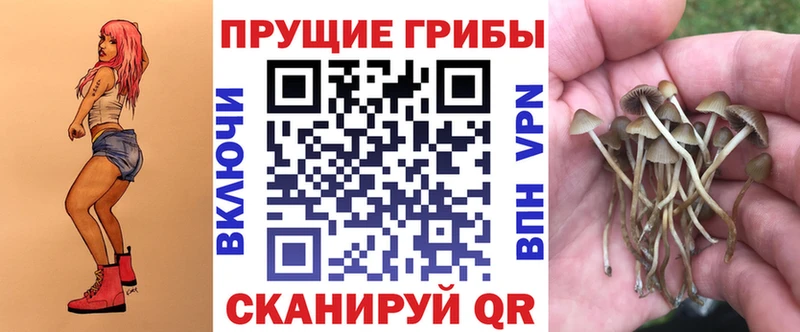 Галлюциногенные грибы Psilocybe  mega ссылка  Среднеколымск  где можно купить  